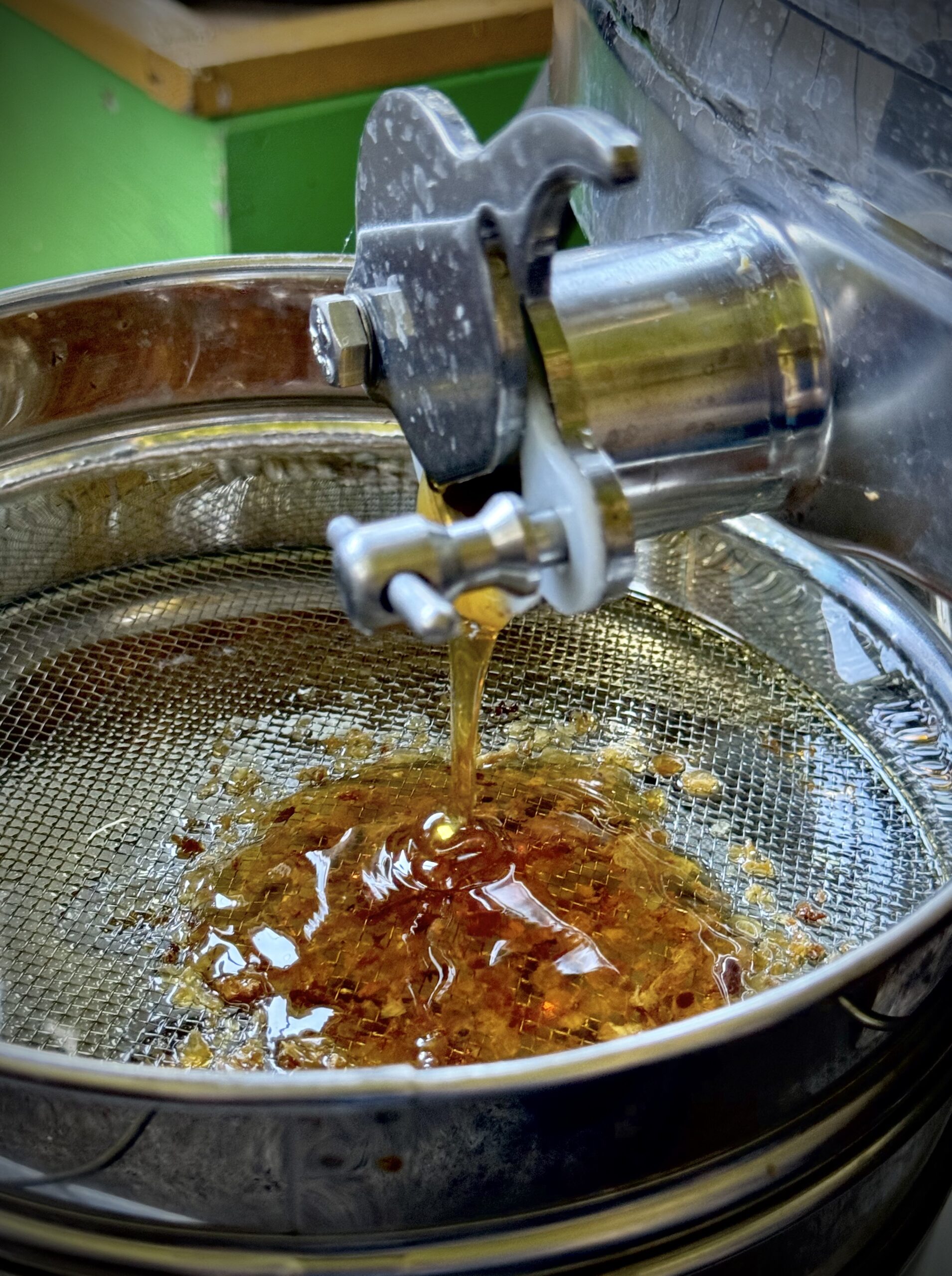 Miód spływa z miodarki podczas miodobrania