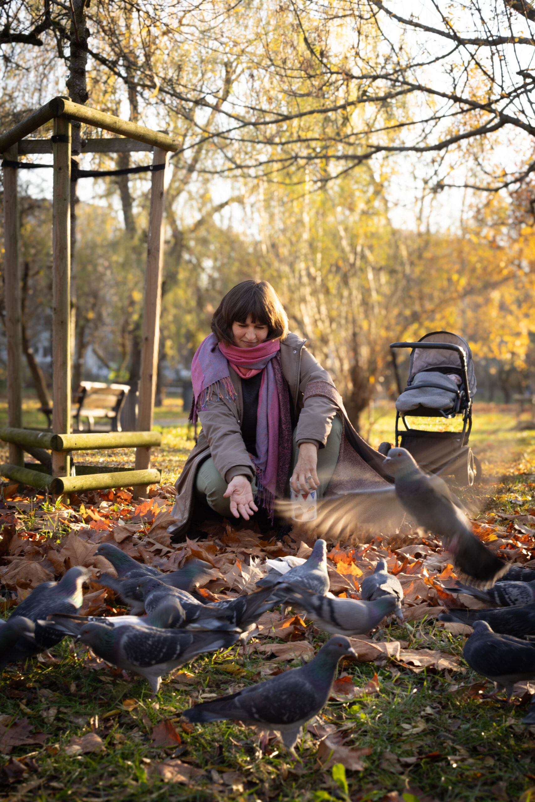 Dziewczyna z wózkiem karmi gołębie w jesiennym parku