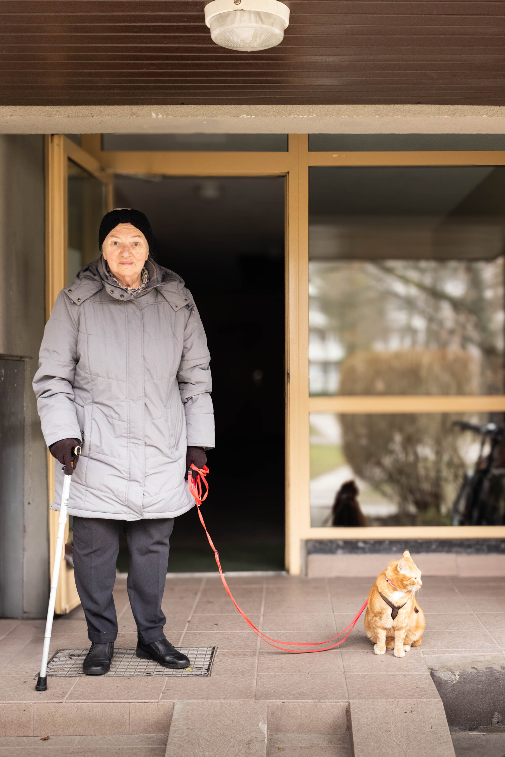 Zdjęcie starszej pani przy klatce schodowej, z rudym kotem na smyczy, z odbiciem w szybie